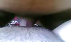 Il cavallo è sempre video amatoriali di donne mature molto luminoso
